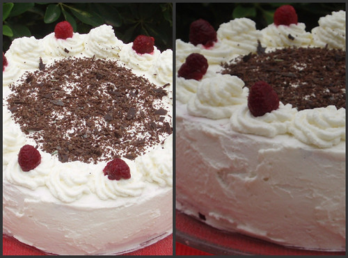 Tarta de helado de frambuesas4
