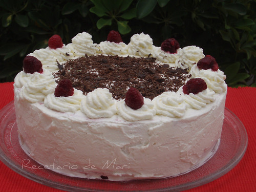 Tarta de helado de frambuesas2